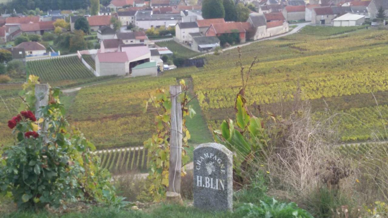 L'Escale Fleurie Bed and Breakfast Vincelles  Buitenkant foto